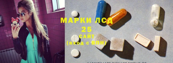 индика Дмитриев