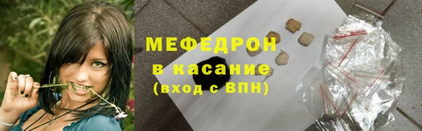 индика Дмитриев