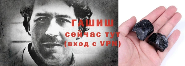 индика Дмитриев