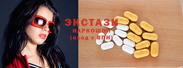 индика Дмитриев