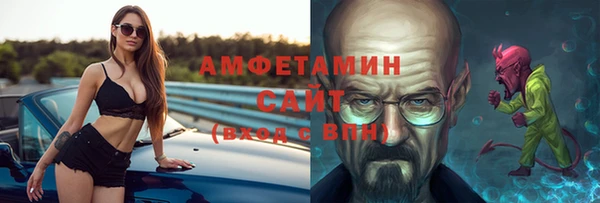 индика Дмитриев