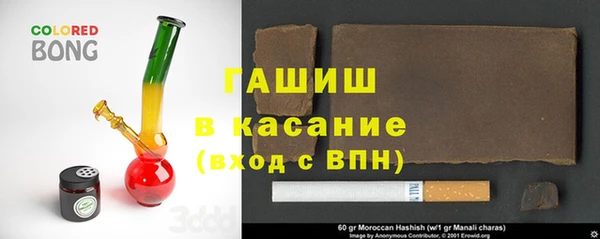 индика Дмитриев