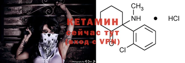 индика Дмитриев