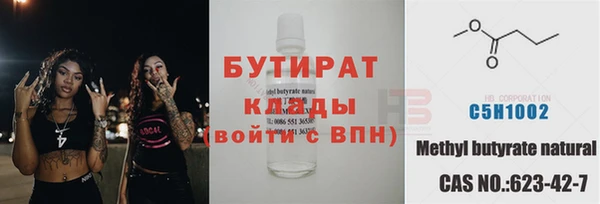 индика Дмитриев