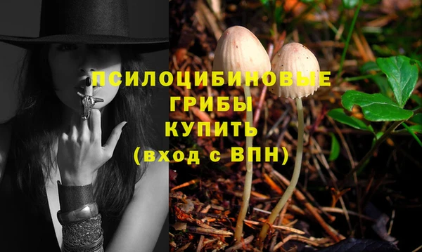 альфа пвп Дмитровск
