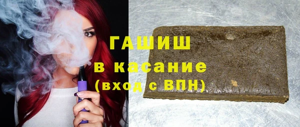 индика Дмитриев
