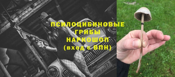 индика Дмитриев