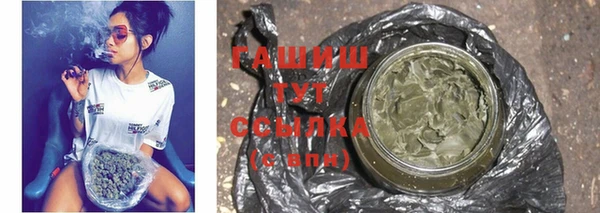 индика Дмитриев