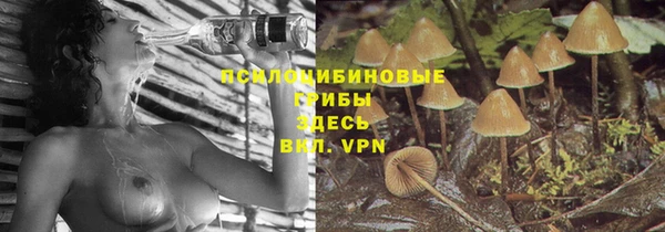 индика Дмитриев