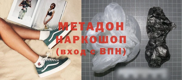 индика Дмитриев