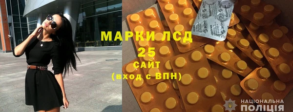 индика Дмитриев