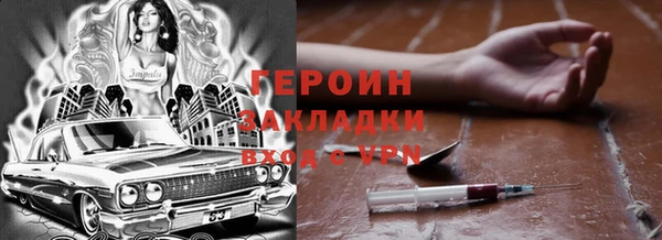 индика Дмитриев