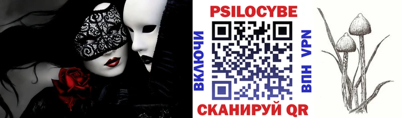 продажа наркотиков  mega зеркало  Псилоцибиновые грибы Magic Shrooms  Батайск 