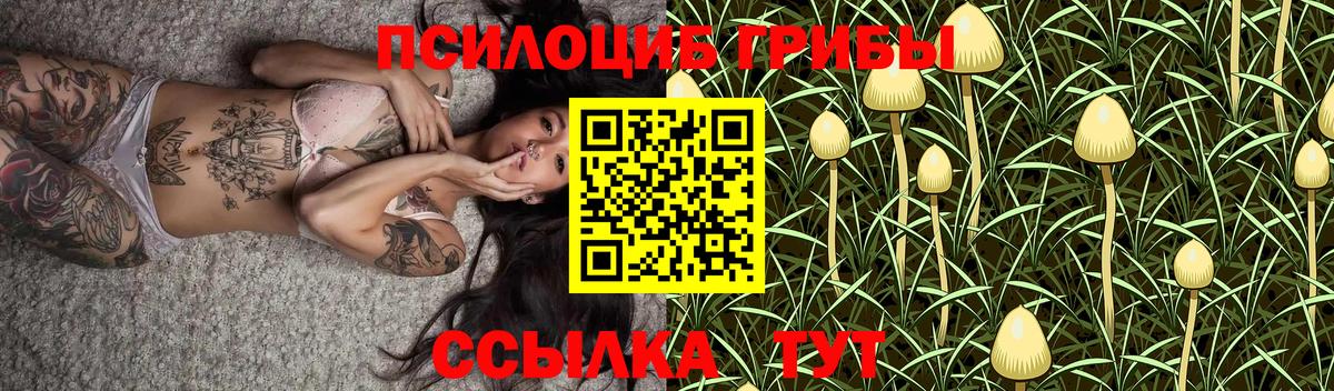 Псилоцибиновые грибы GOLDEN TEACHER Батайск