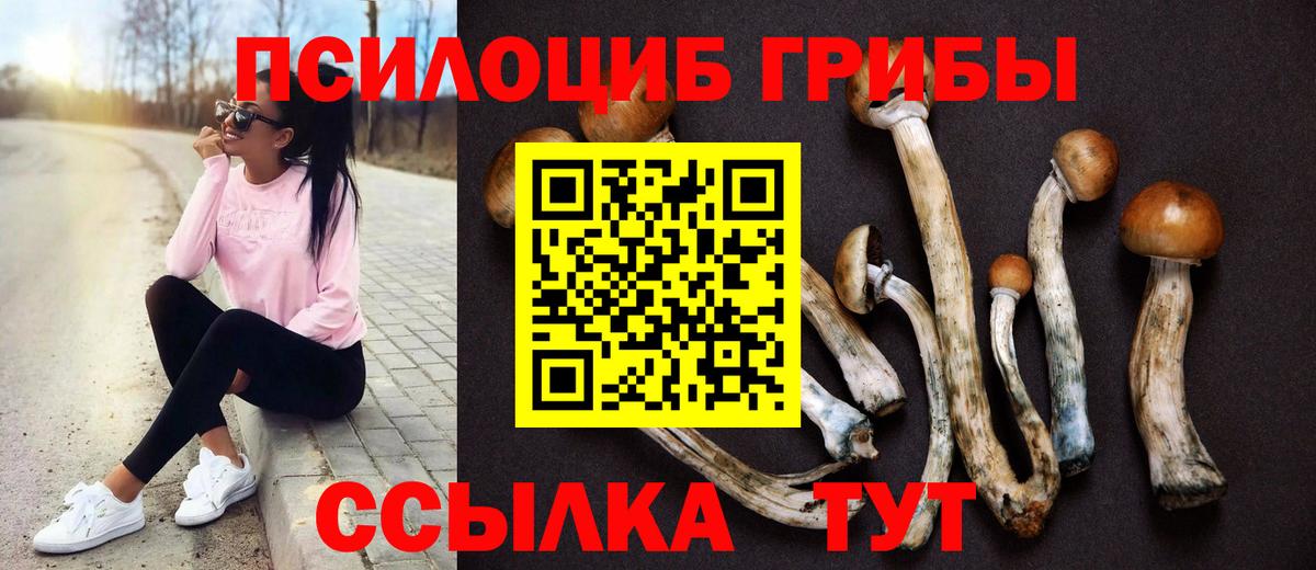Псилоцибиновые грибы GOLDEN TEACHER  Вход с VPN  купить наркотики сайты  Батайск  Псилоцибиновые грибы Cubensis 